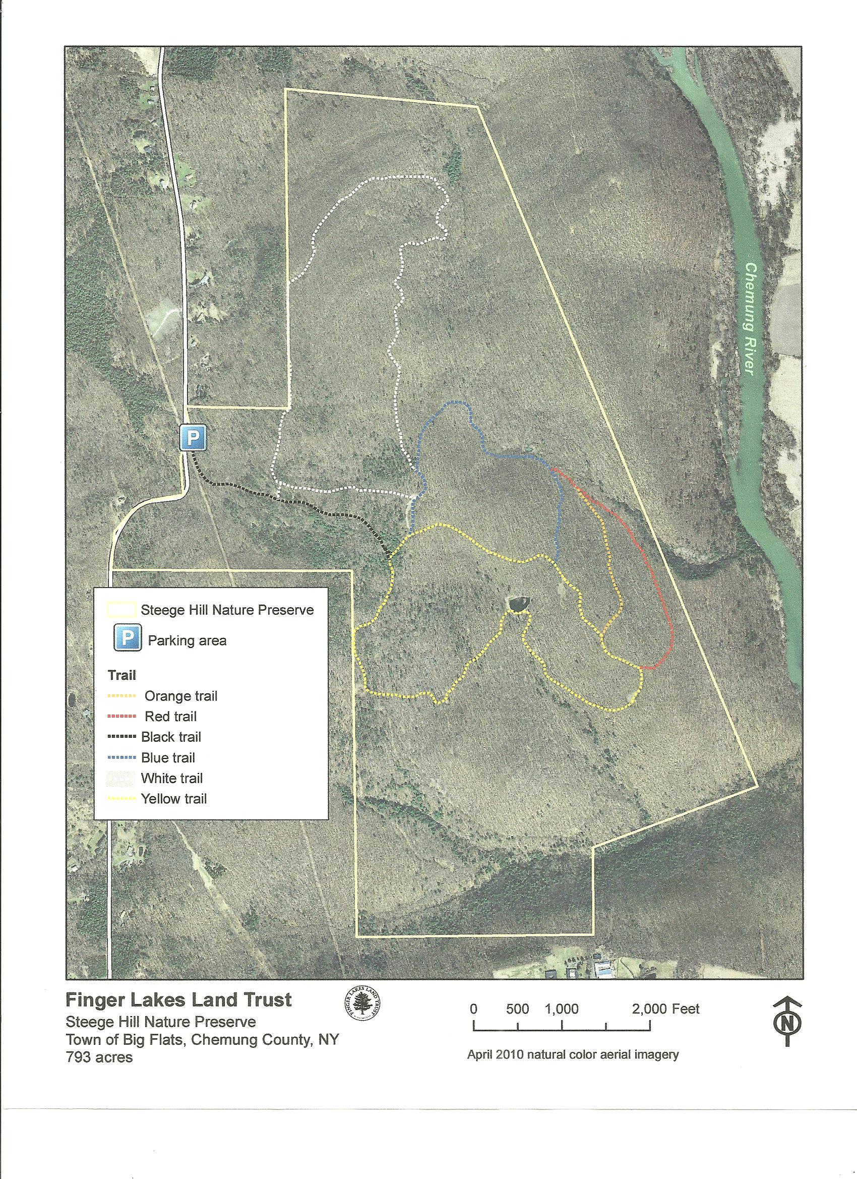 Steege Hill, Big Flats, Sunday November 2 200EST Springwater Trails