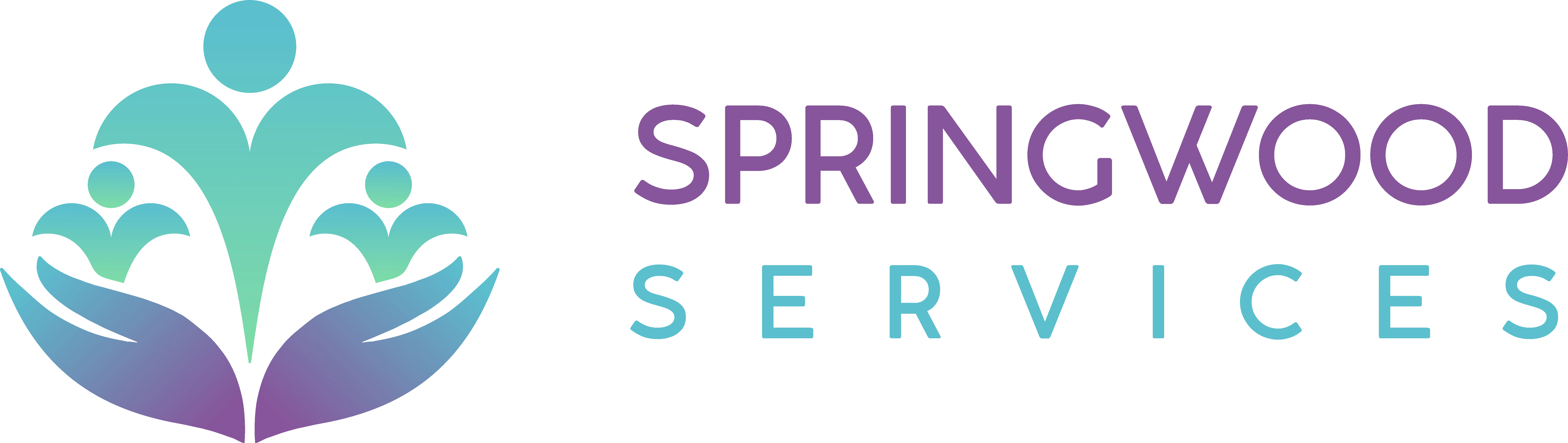 Springwood Services Healthcare Staffing Agency in NSW