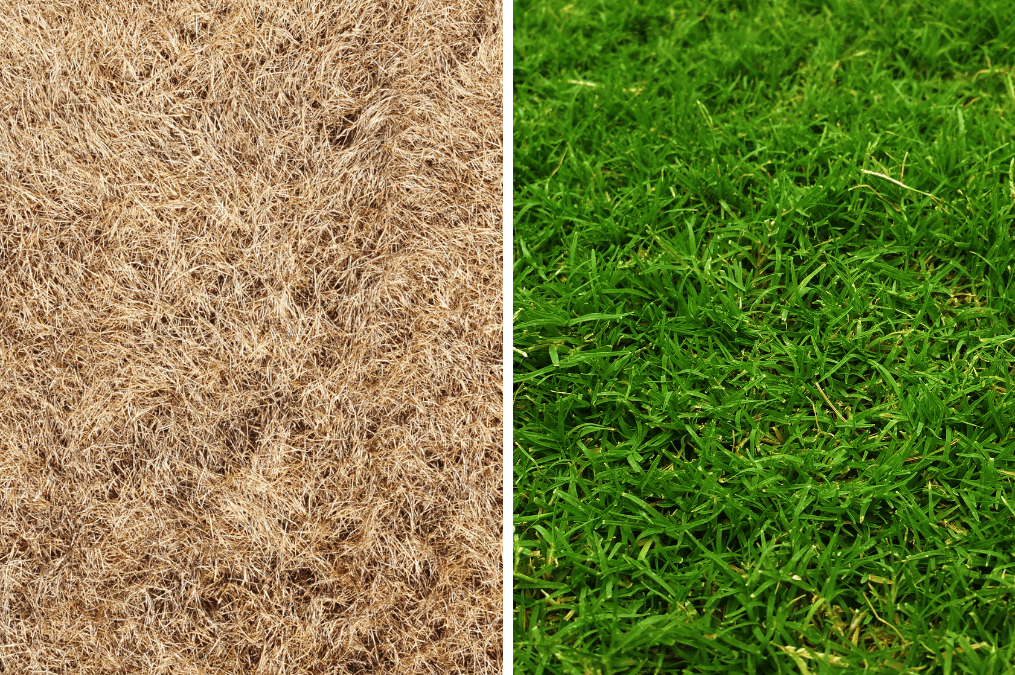 Bring Your Lawn Back to Life Sprinkler & Irrigation Services