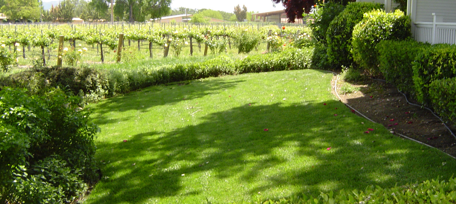 Our Work Sprinkler King