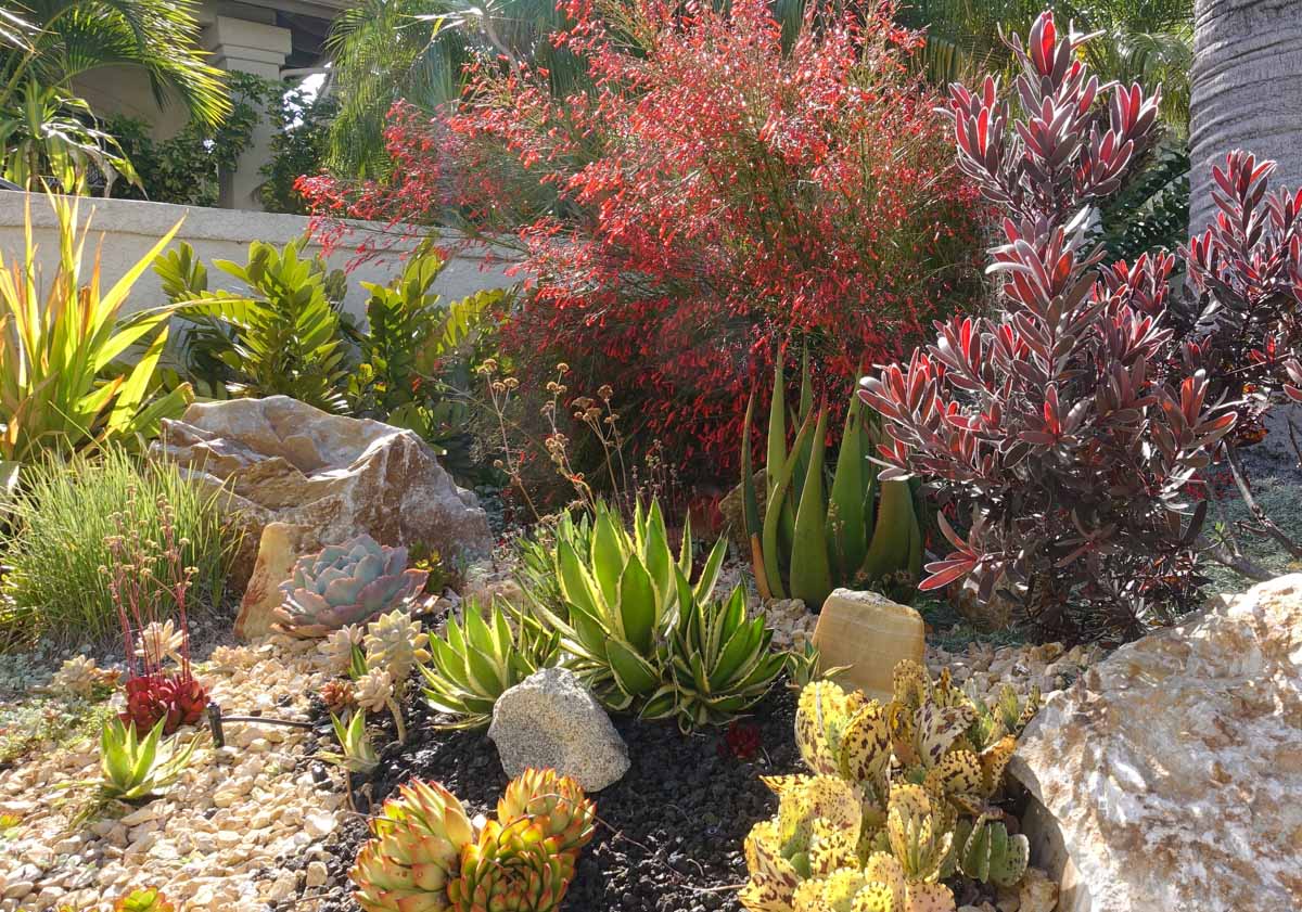 Xeriscaping in Utah & Arizona. Hot Shot