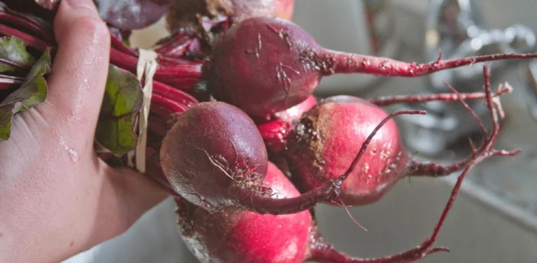 Do You Need To Peel Beets Before Juicing? » Sprint Kitchen