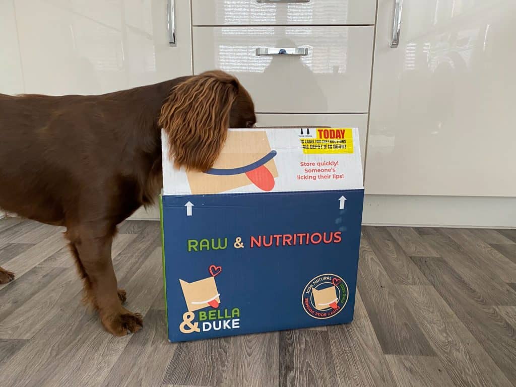 Bella & Duke Dog Food Review (+ 50 Discount Code) Sprocker Lovers