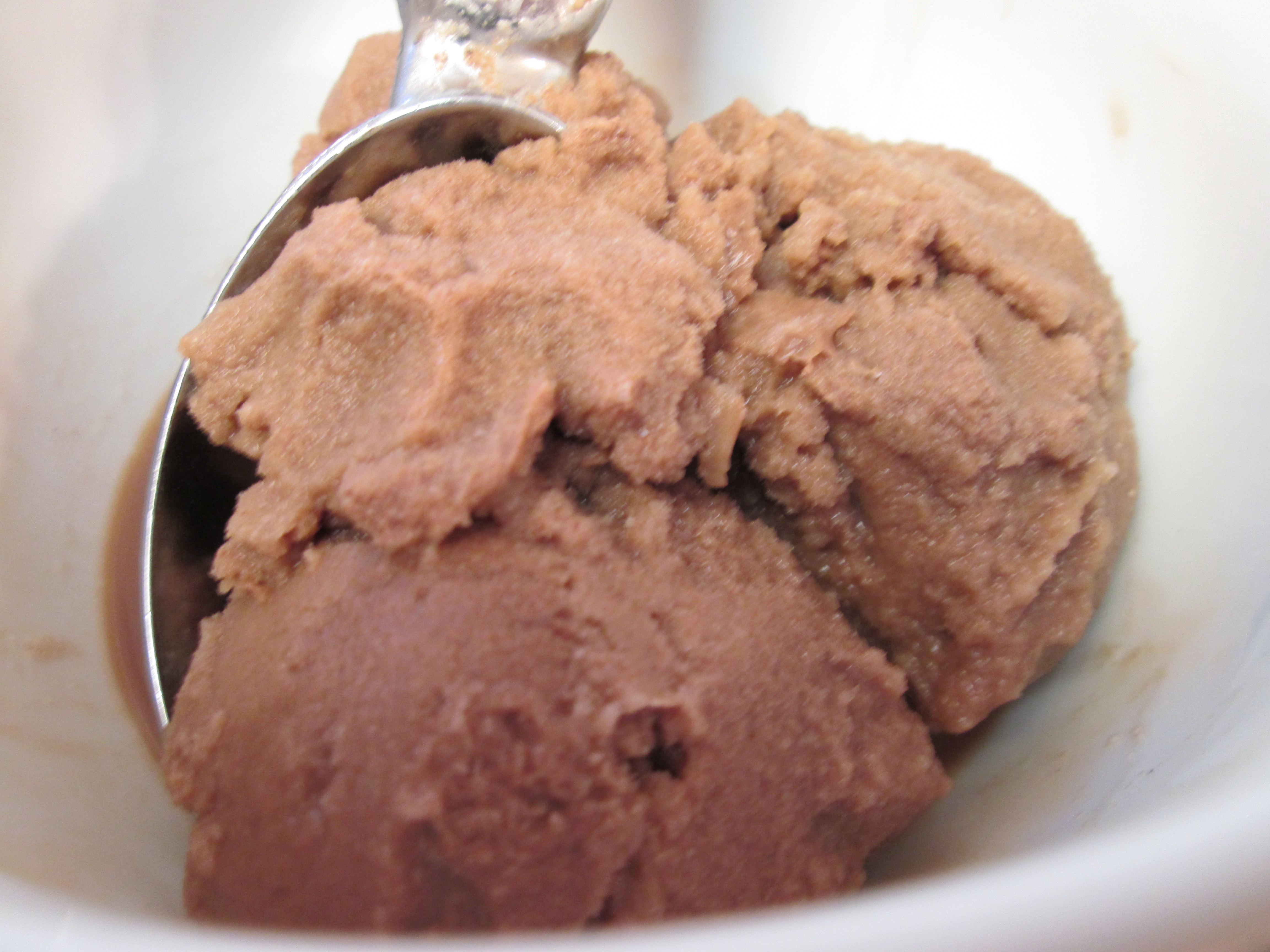 Old Fashioned Dairy Free Chocolate Ice Cream