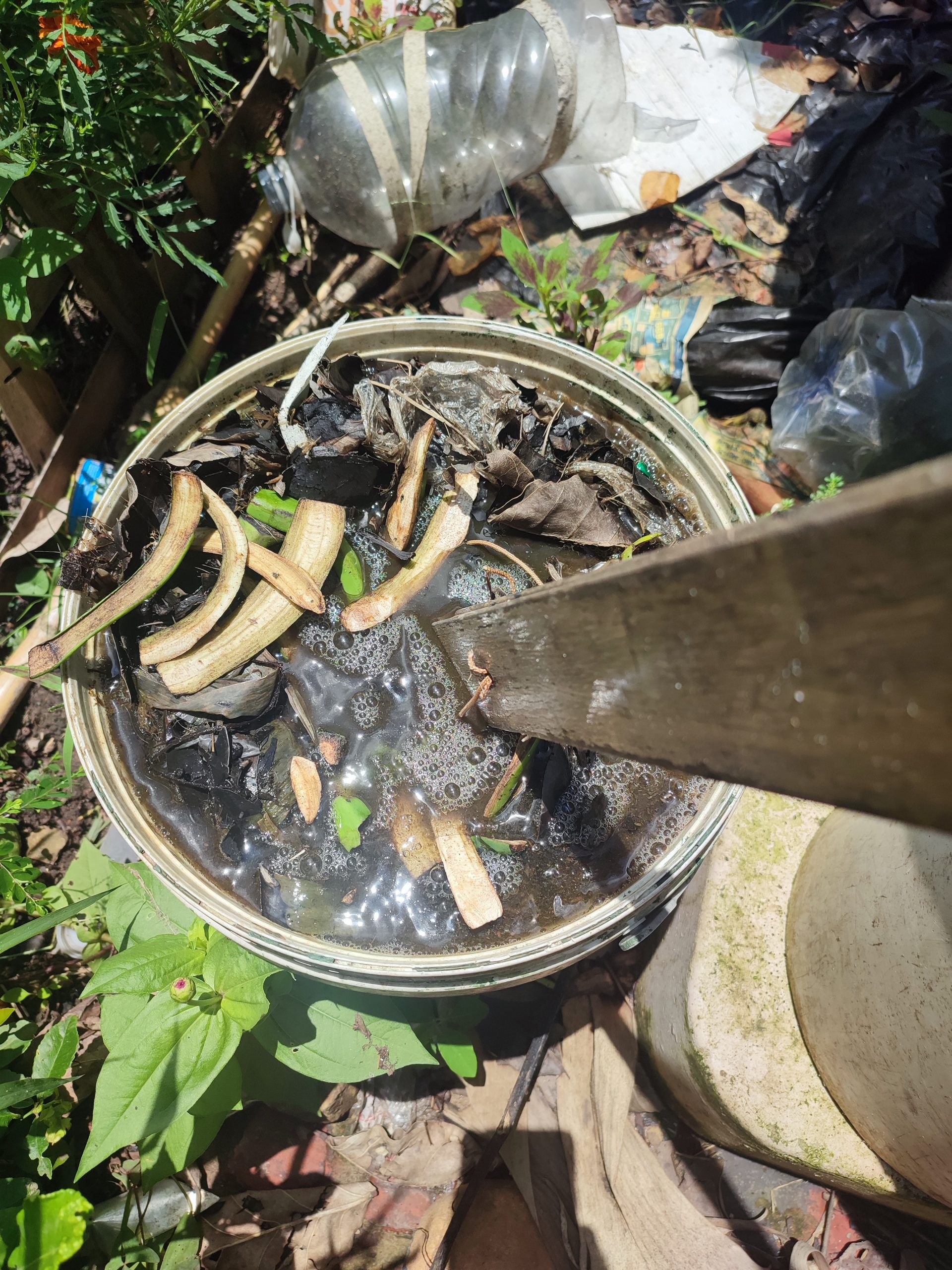 Beginner’s Guide To Compost Tea (Recipe And Instructions)