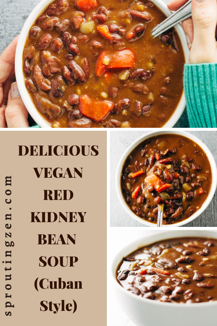 healthy vegan red kidney bean soup instant pot recipe Sprouting Zen