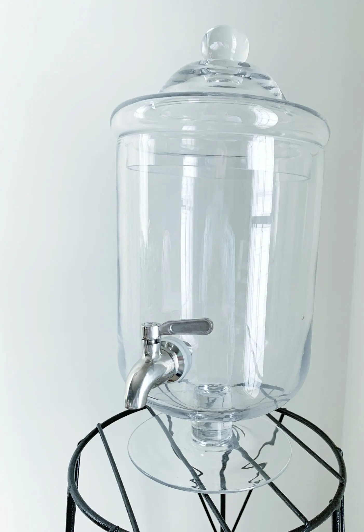 DIY Closed Terrarium, Layer by Layer Sprouts and Stems