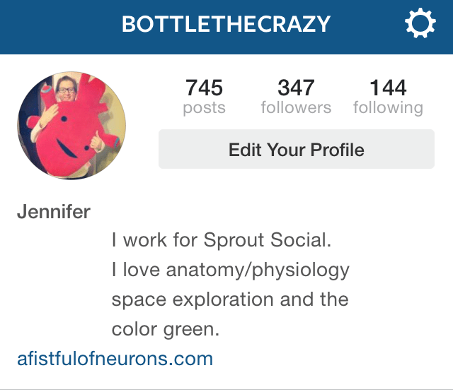 How to Write Instagram Bios for Businesses Sprout Social