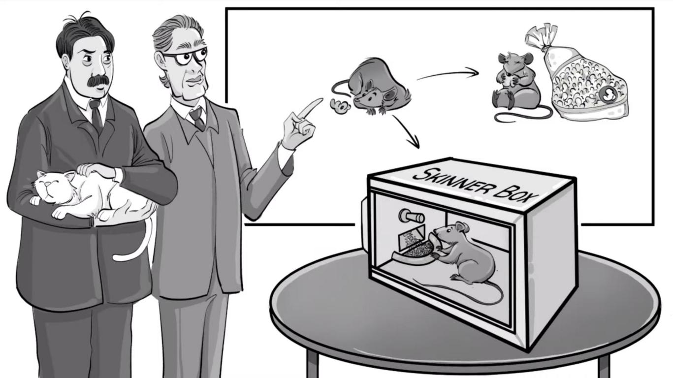 Skinner’s Operant Conditioning Rewards & Punishments Sprouts Videos