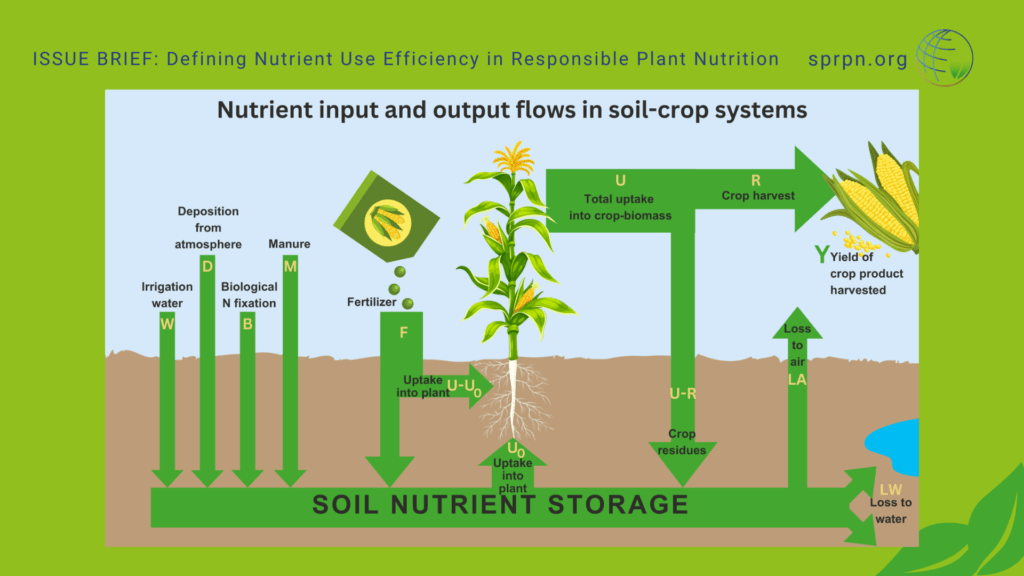 Defining Nutrient Use Efficiency in Responsible Plant Nutrition SPRPN