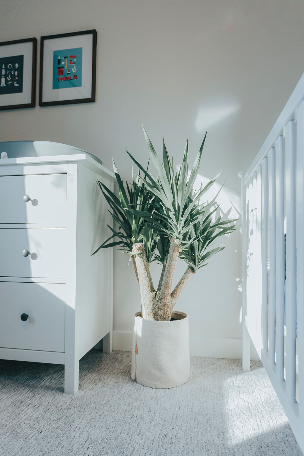 Designer Spotlight Erin Levesque Spruce Homes