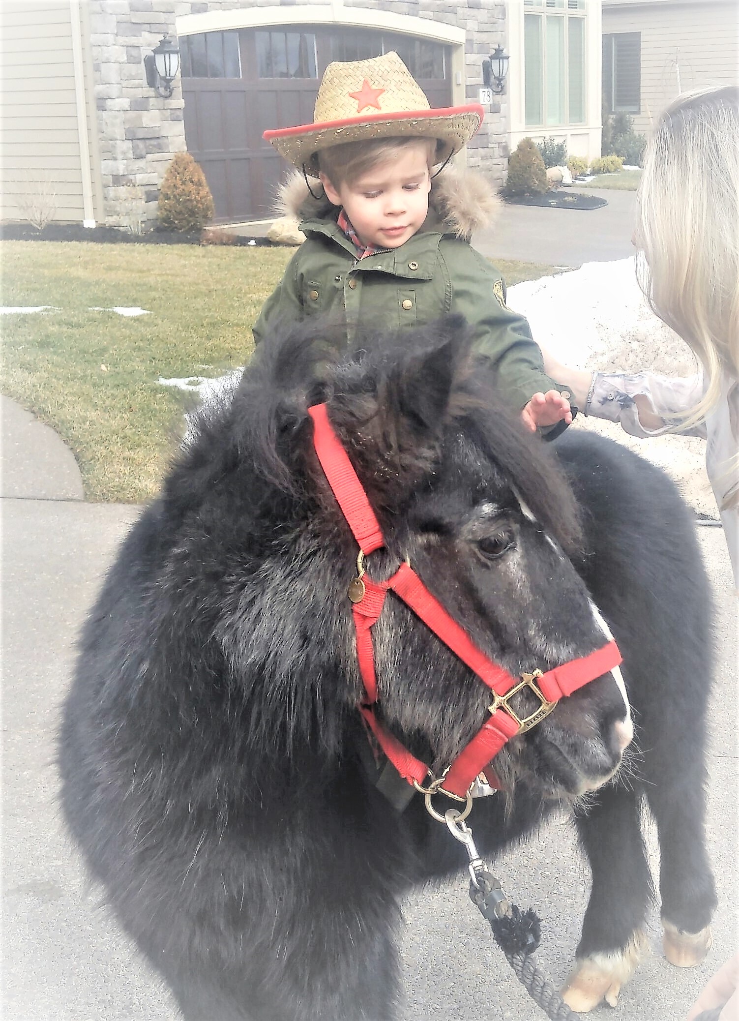 Spruce Meadow Farm Discover The World Of Horses