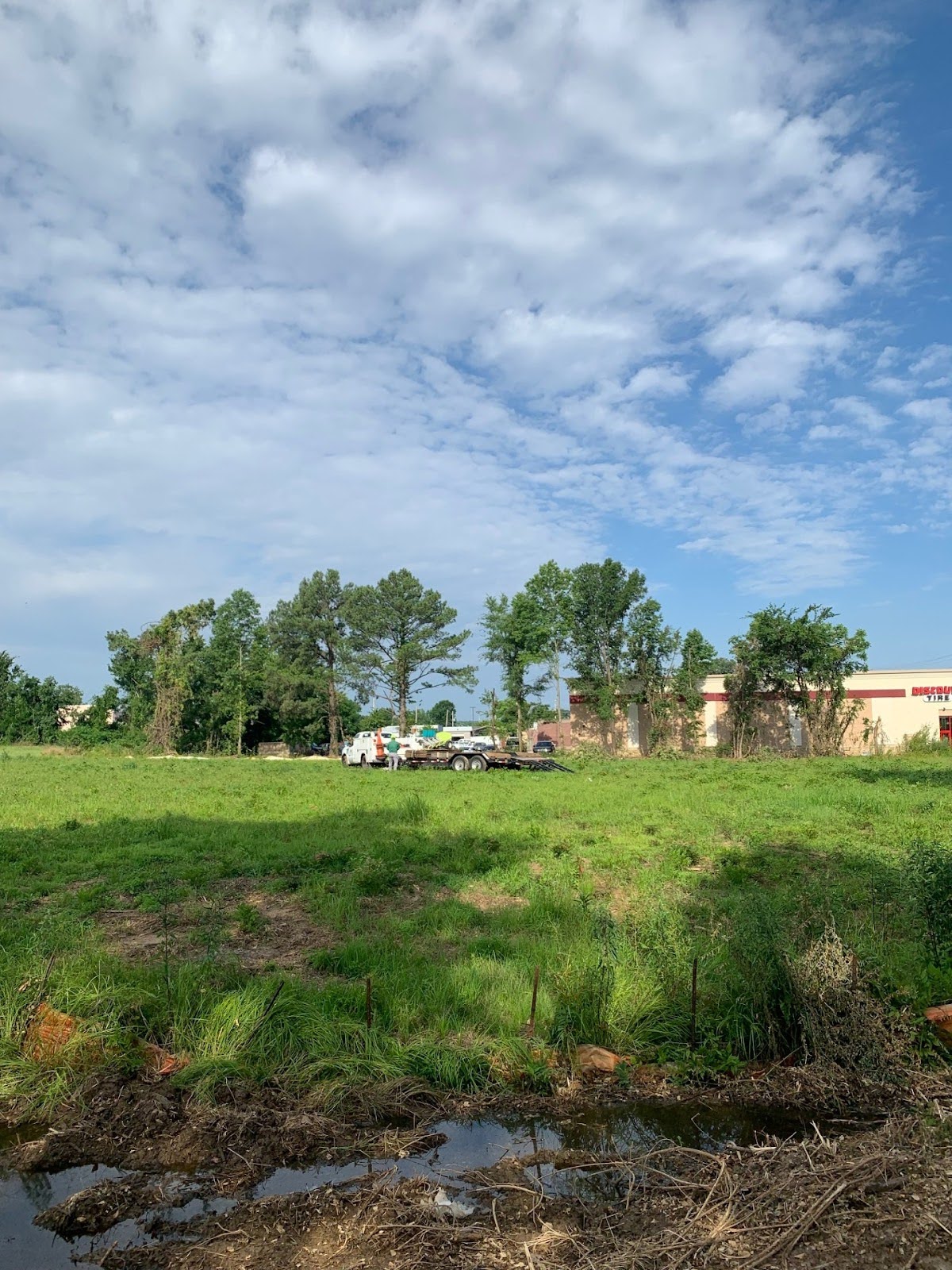 Spruce Up Tree Care of Memphis, TN, Undertakes Lot Clearing for a