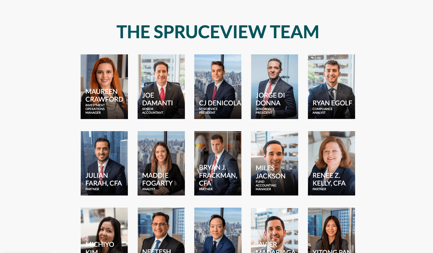 Spruceview Capital Partners