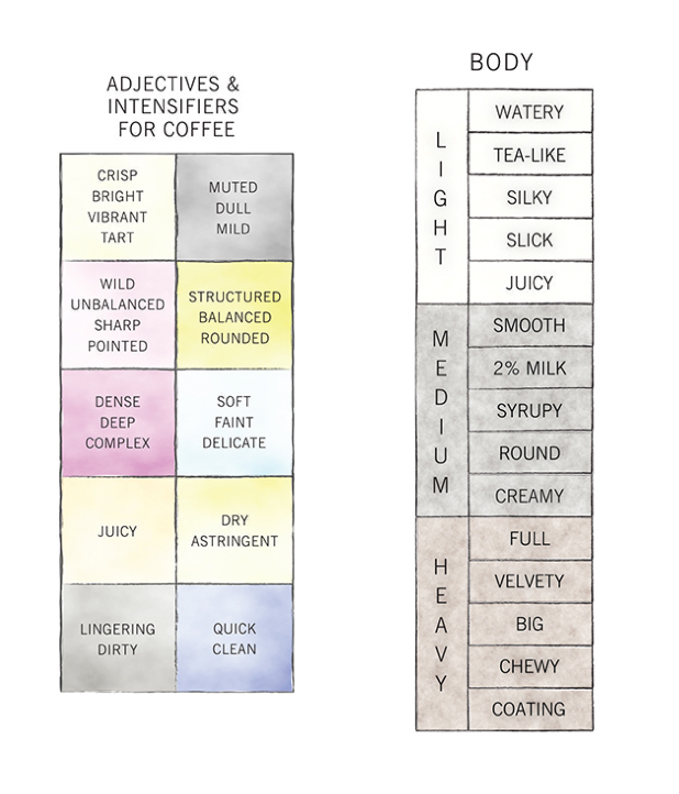 Counter Culture Releases A New Coffee Taster's Flavor Wheel And It Is