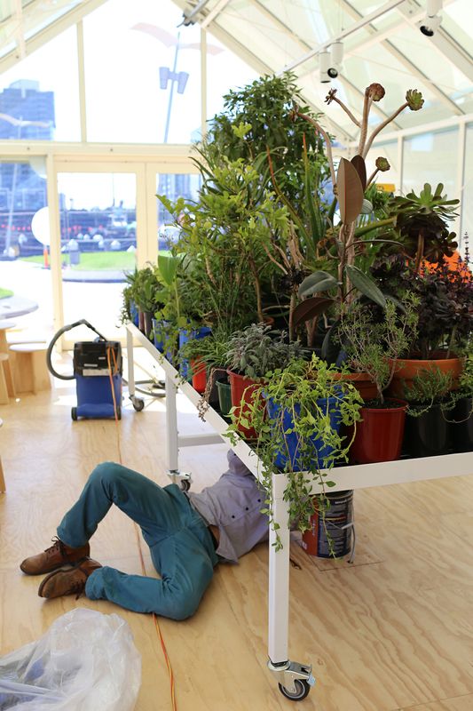 Meet Hortus, The New Cafe From Seven Seeds In Melbourne's Docklands