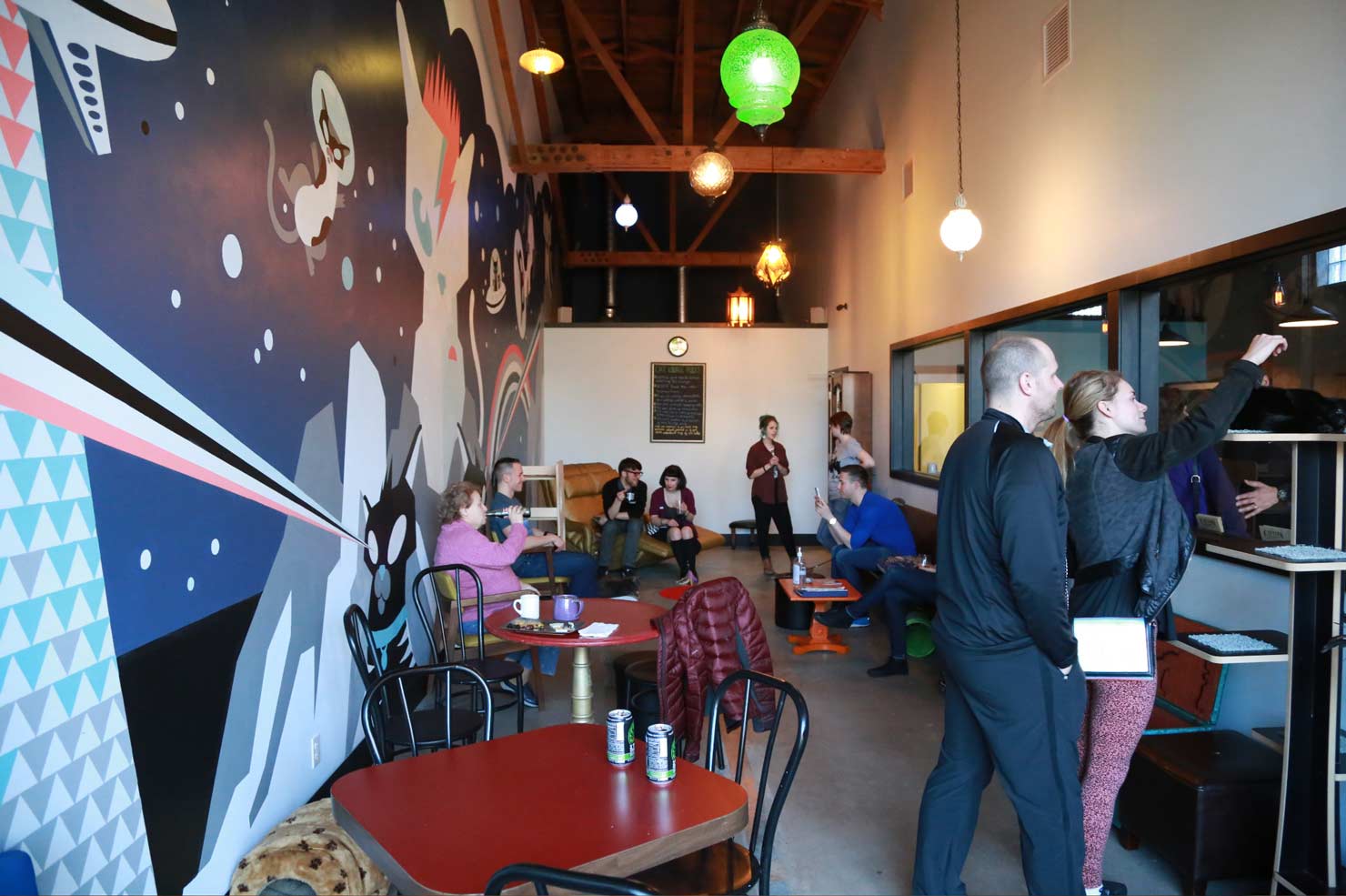 Inside Purringtons Cat Lounge, Portland's Very First Cat Cafe