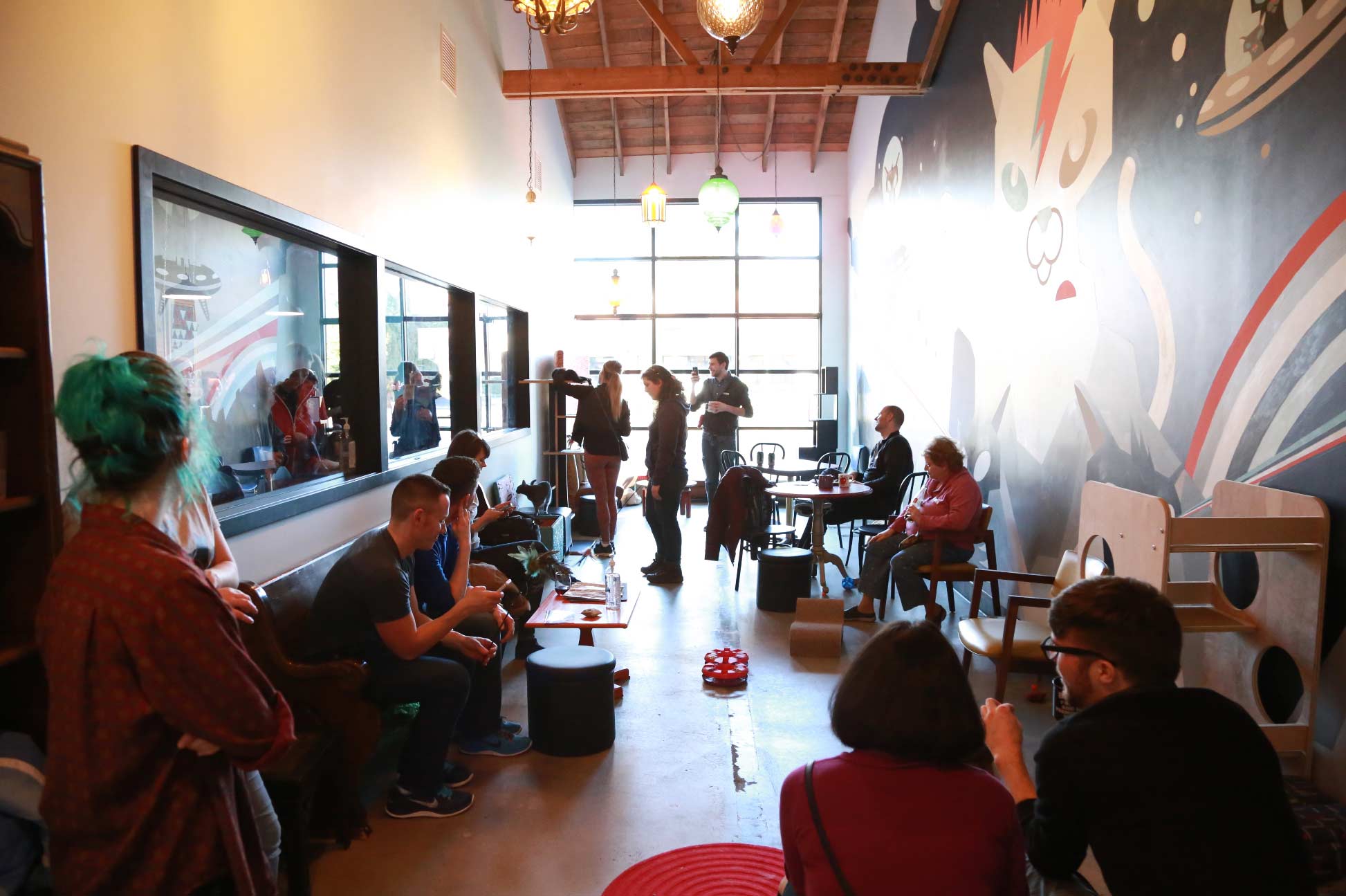 Inside Purringtons Cat Lounge, Portland's Very First Cat Cafe