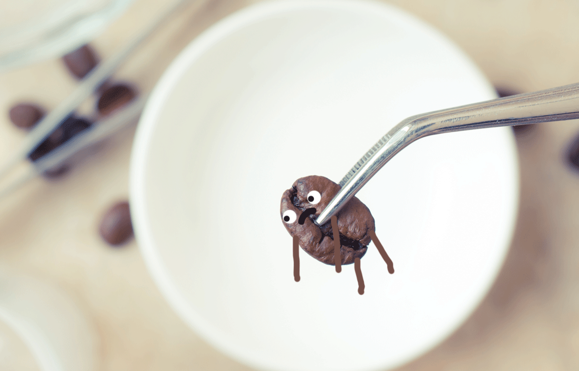 Does Dark Roast Coffee Really Have More Caffeine?