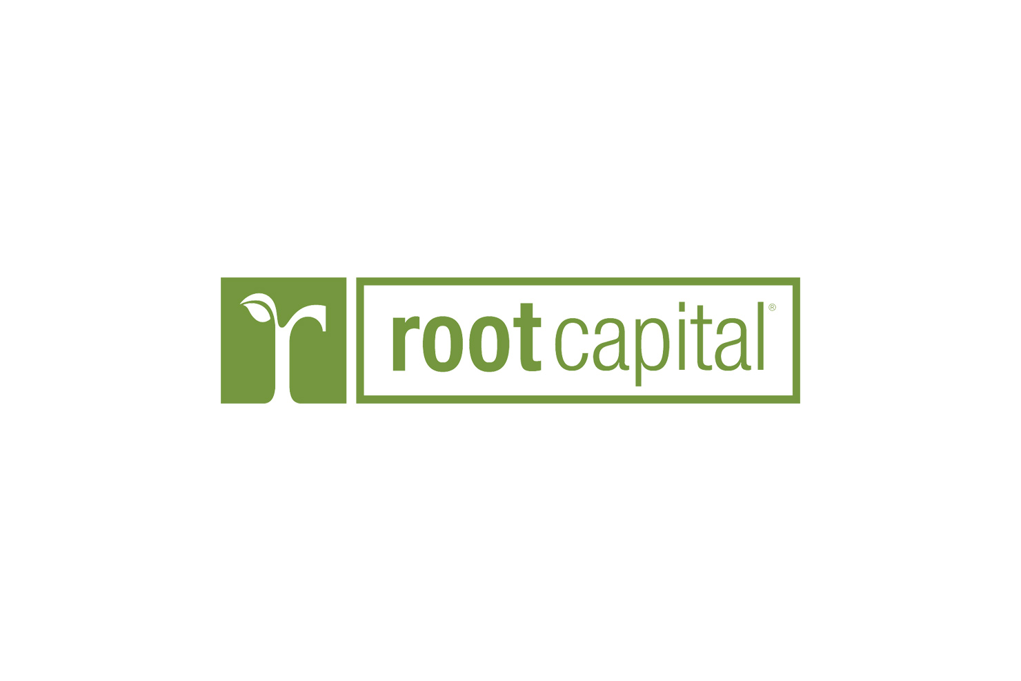 Root Capital Inc Announced As NCA Origin Charity Of The Year