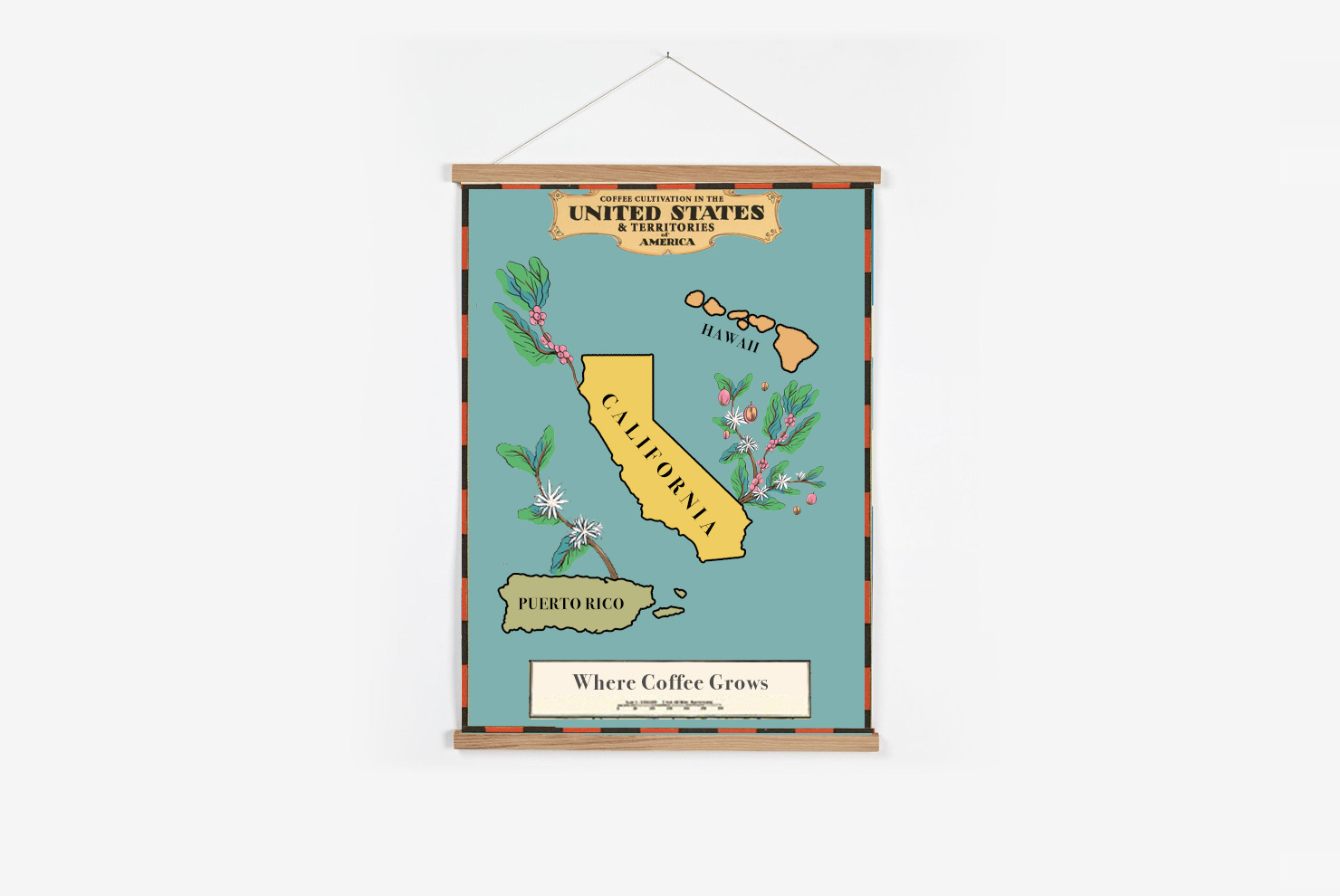 Does Coffee Grow In The United States?
