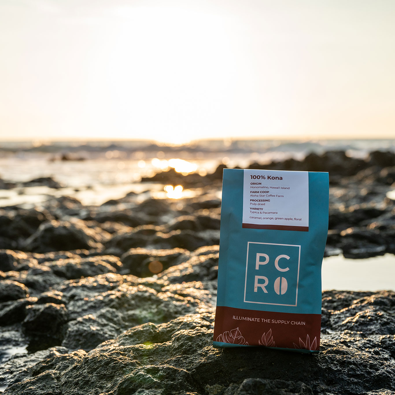 2023 Good Meals Awards Finalists Pacific Espresso Analysis Design