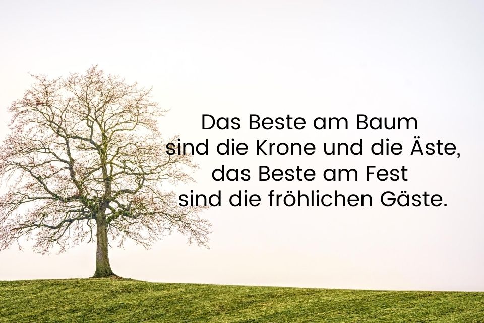 Das Pferd Sagt Es Uns Jeden Tag Wissen Aus Der Stallburg By.