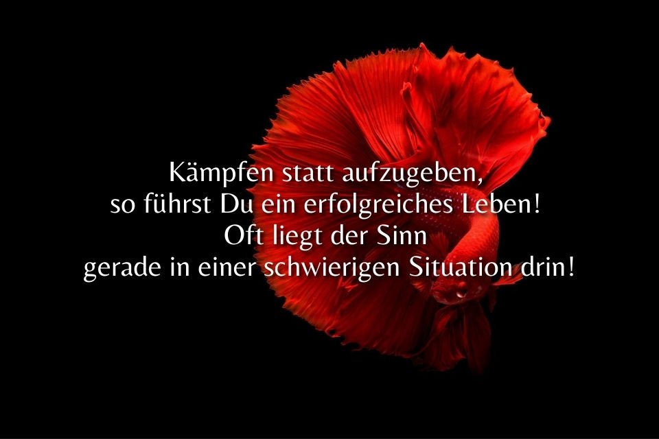 Durchhalte Sprüche » sprueche.co