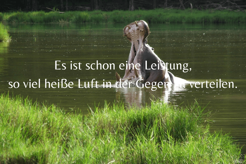 Große Klappe nichts dahinter Sprüche » sprueche.co