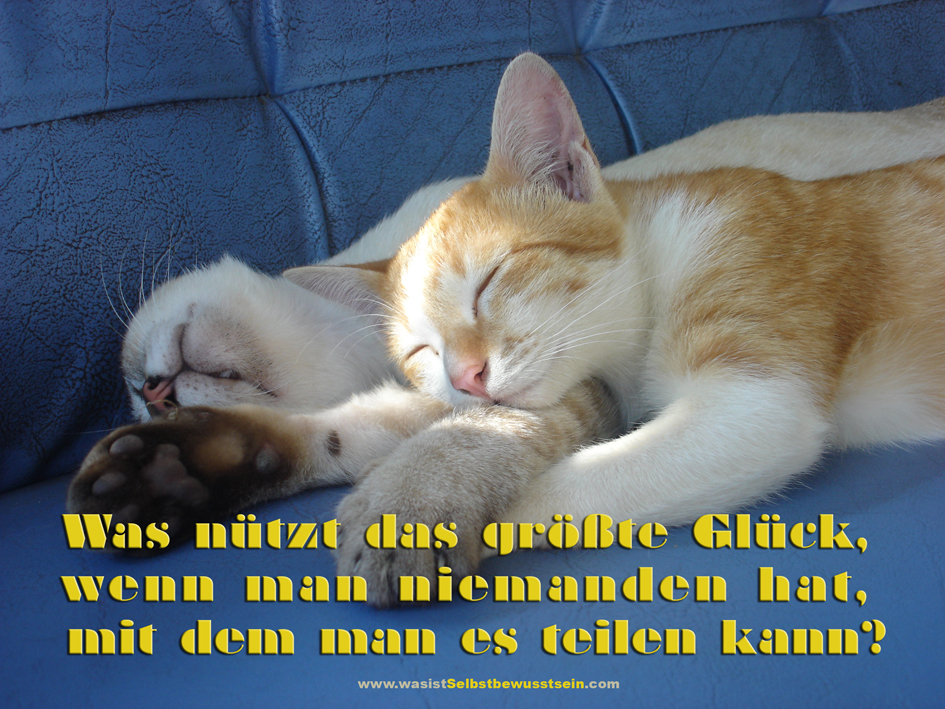 Glucklich Spruche Zur Zweisamkeit Spruche Mit Gluck