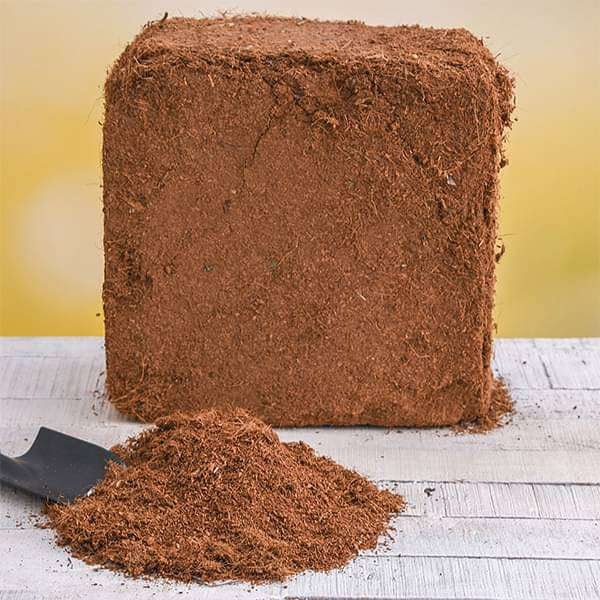 Coco Peat Exporters SPS Coco Products Coco Block Manufacturers