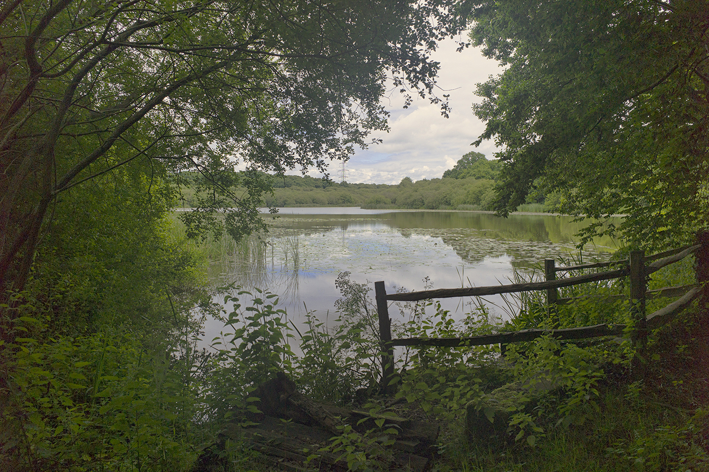 frontpage Sussex Piscatorial Society