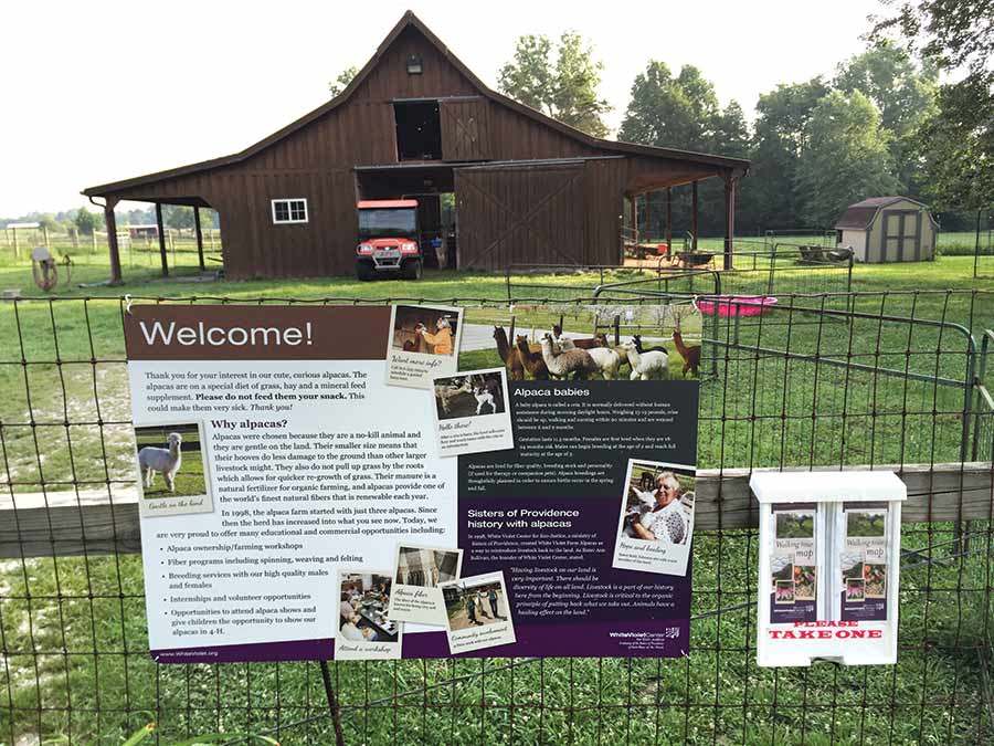 12 facts for 20 years White Violet Center for EcoJustice
