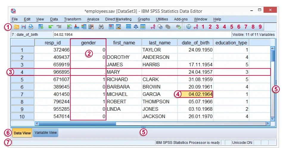 SPSS Data Editor Window