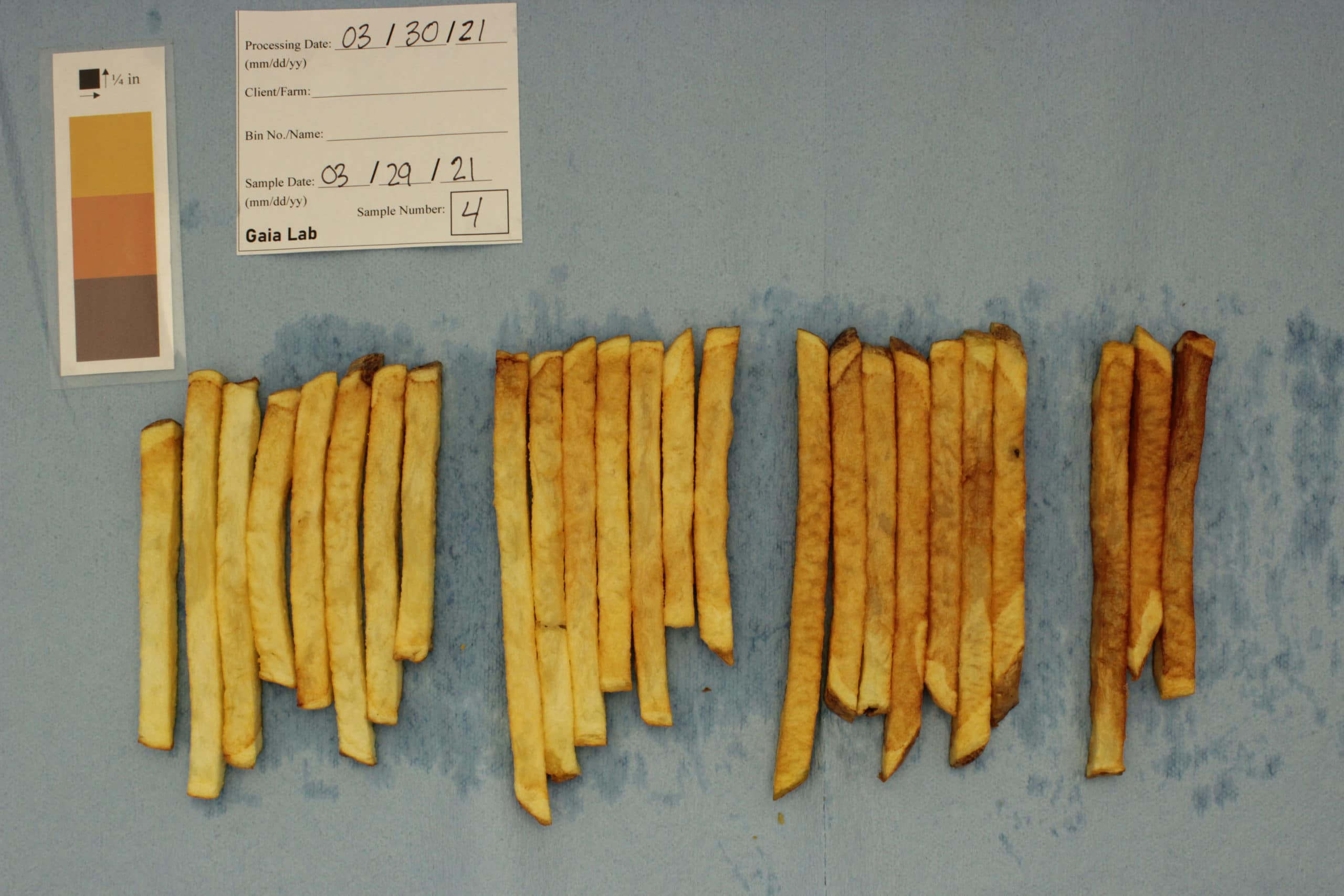 French fries sugar test Spud Smart