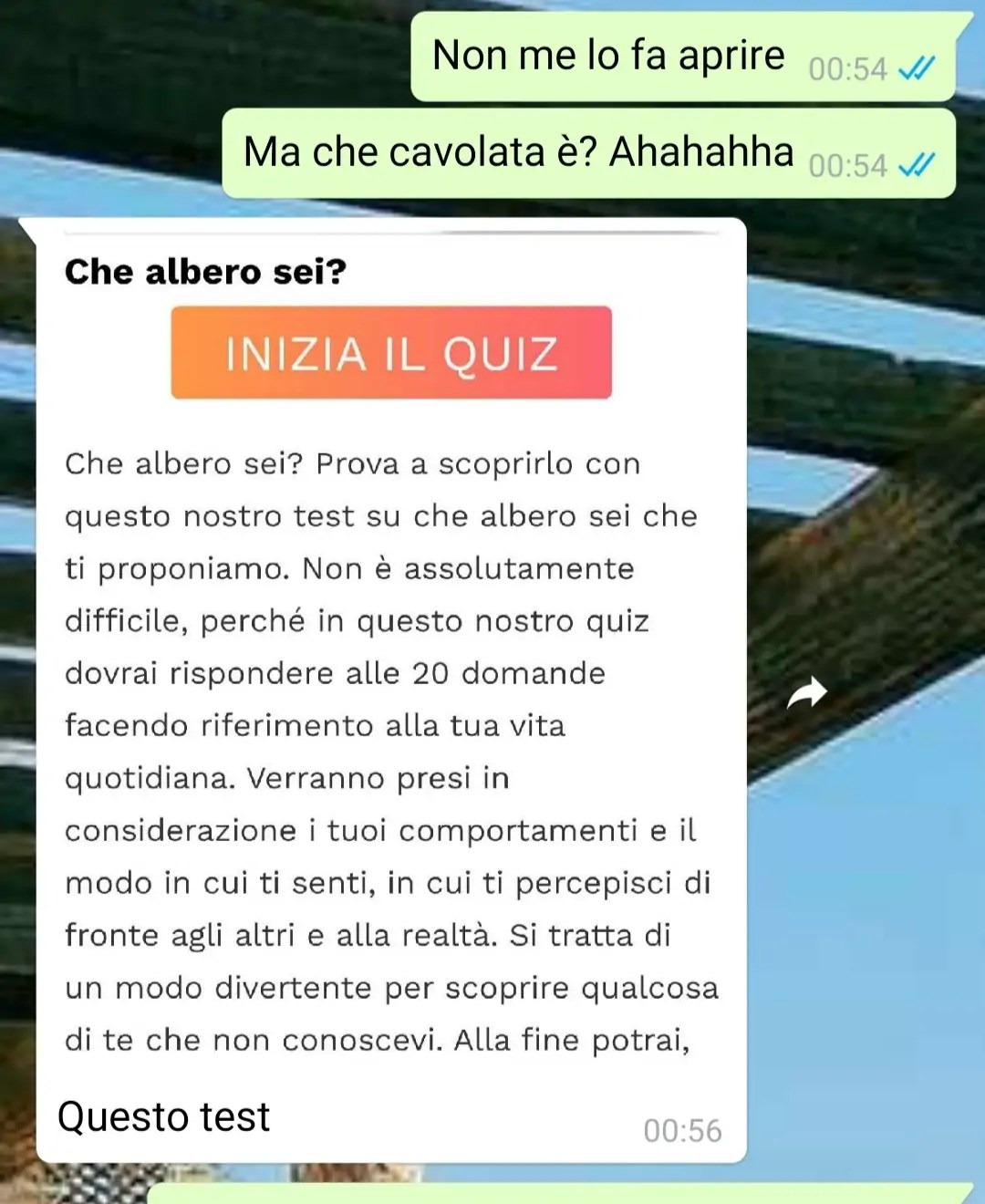 Che albero sei? SpunteBlu Page 2