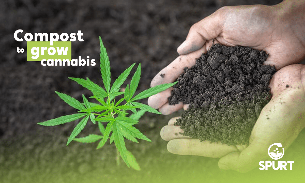 Compost to grow cannabis Spurt