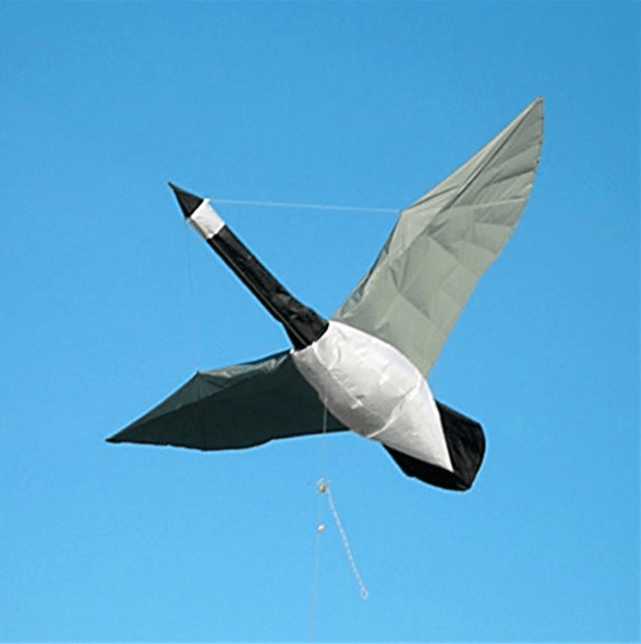 Celebrate National Kite Flying Day With a Kite From Martin Lester SPY