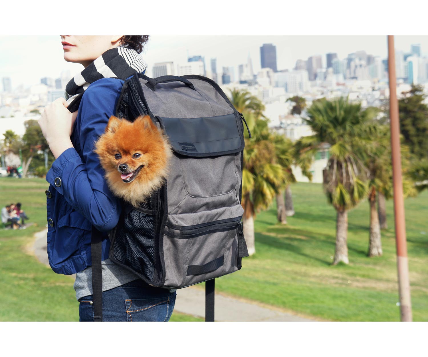 The Pet Carrier That’s Most Comfortable For a Dog Timbuk2 Muttmover SPY