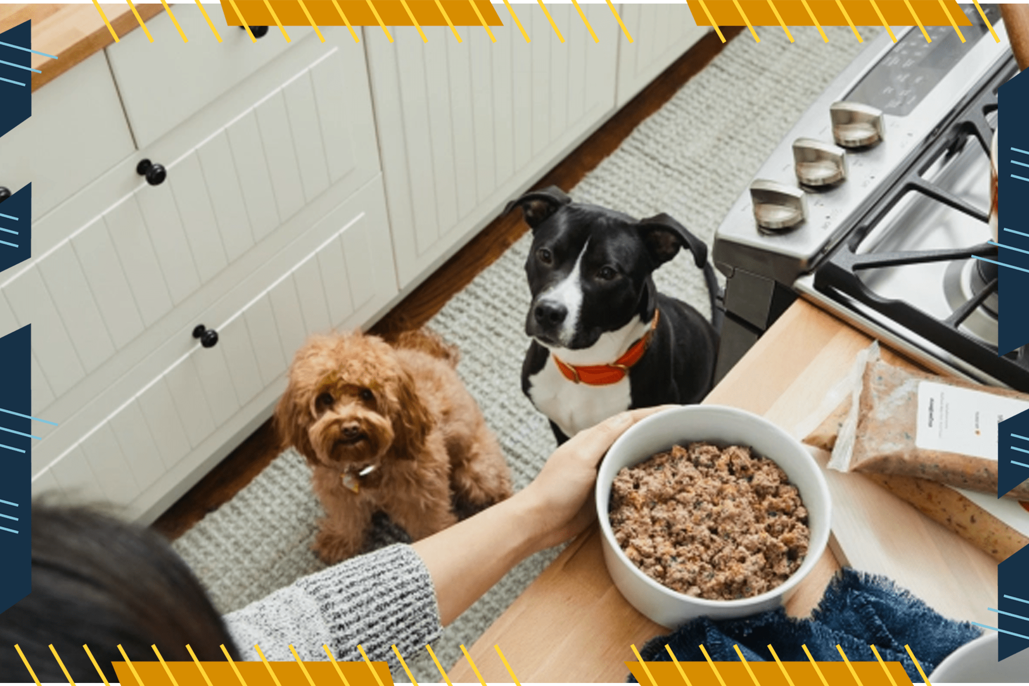 10 Best Healthy Dog Foods in 2022 Dry, Wet and Raw Options