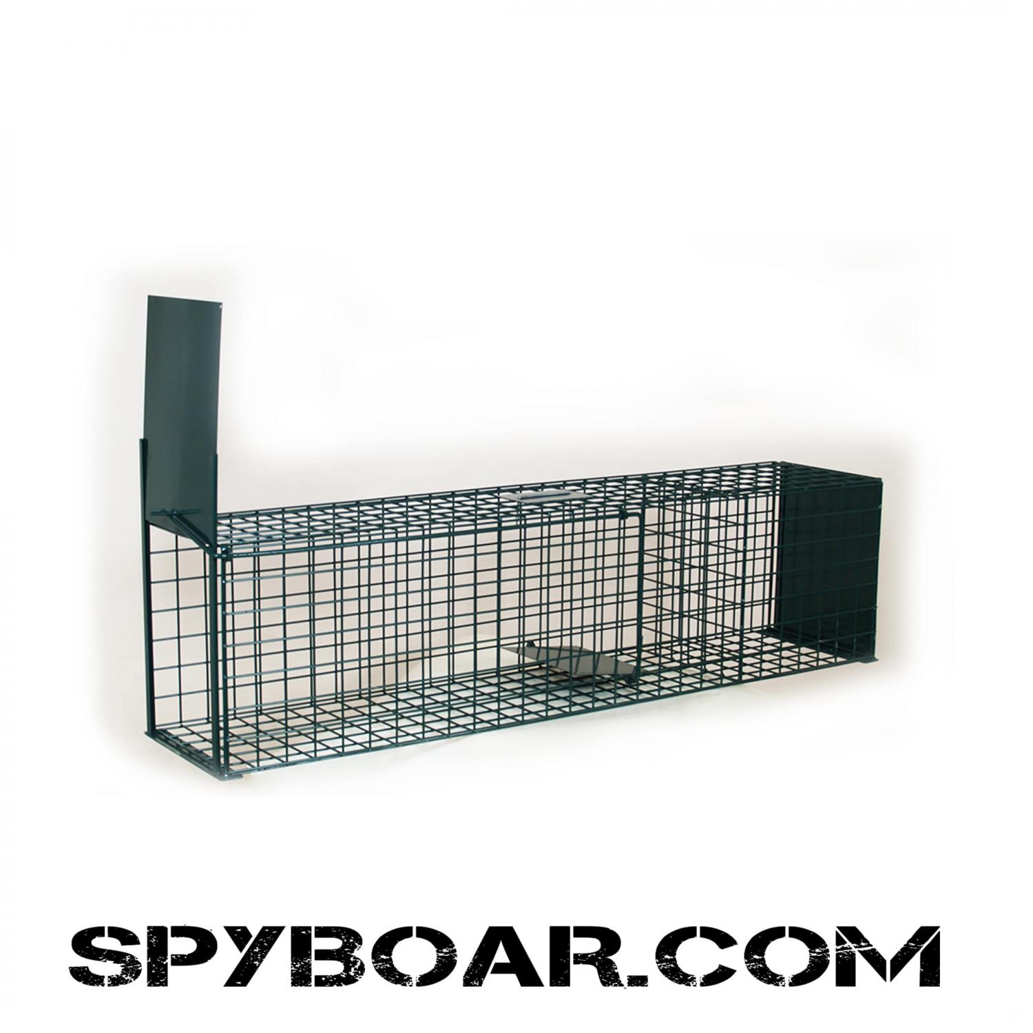Fox cagetrap with live bait