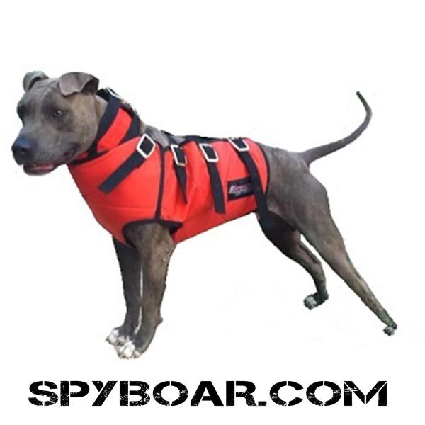 Protective dog hunting vest Hard Core Hogs and Dogs