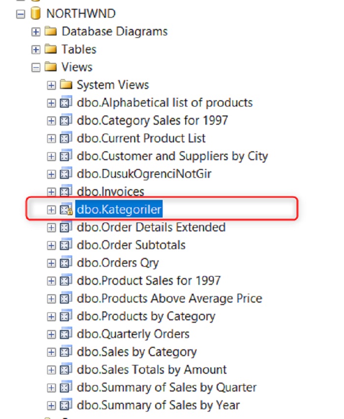 SQL Server’da View Kullanımı ve With Encryption SQL Server Eğitimleri