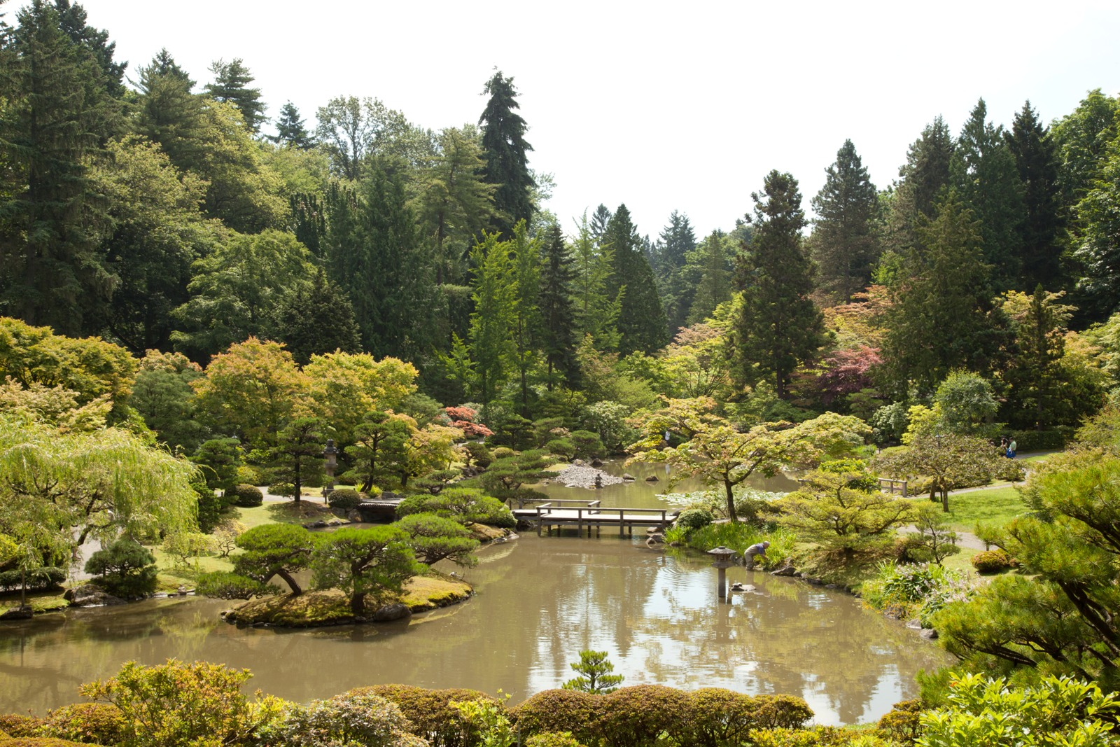 Photos Japanese Garden at Seattle Arboretum Paul S. Randal