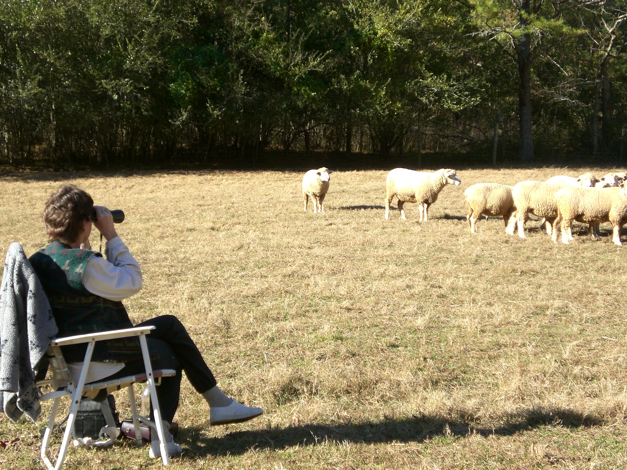 Adventure Two Squirrels' Nest Farm Newsletter