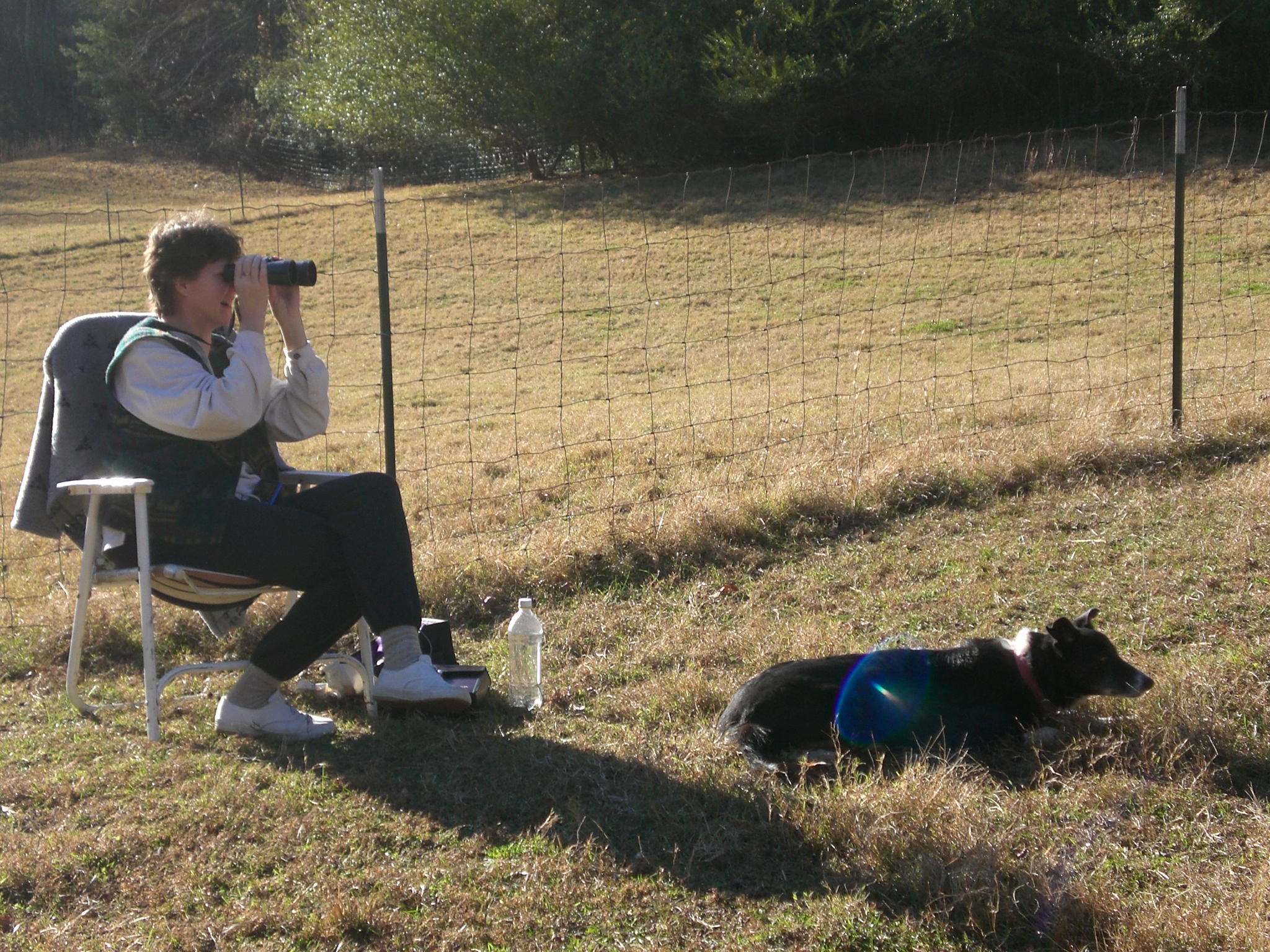 Adventure Two Squirrels' Nest Farm Newsletter