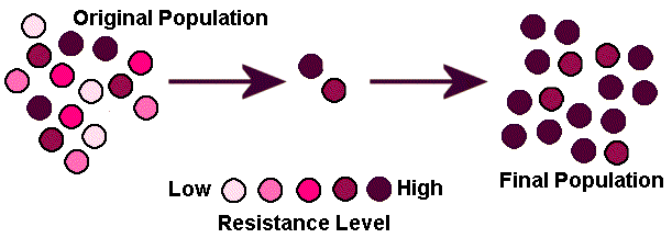 Antibiotic resistance Are we heading back to prepenicillin era? SQ
