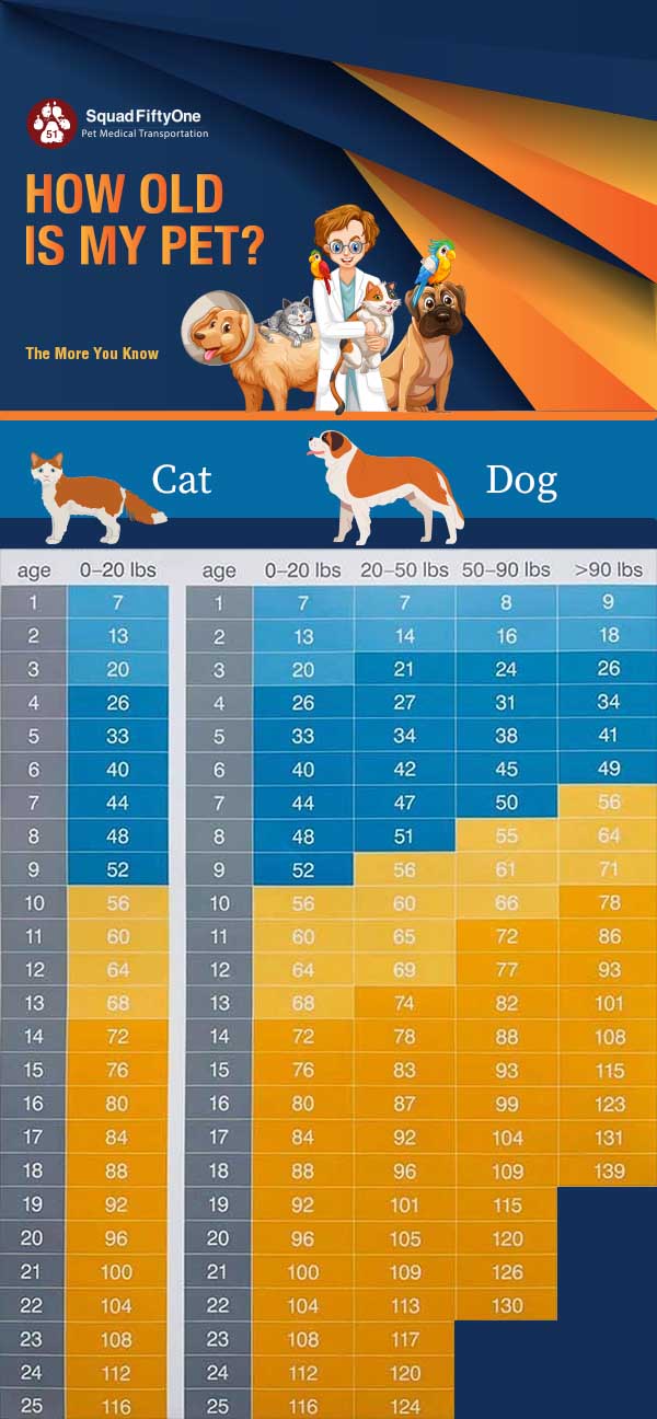 Squad FiftyOne Pet Emergency Response