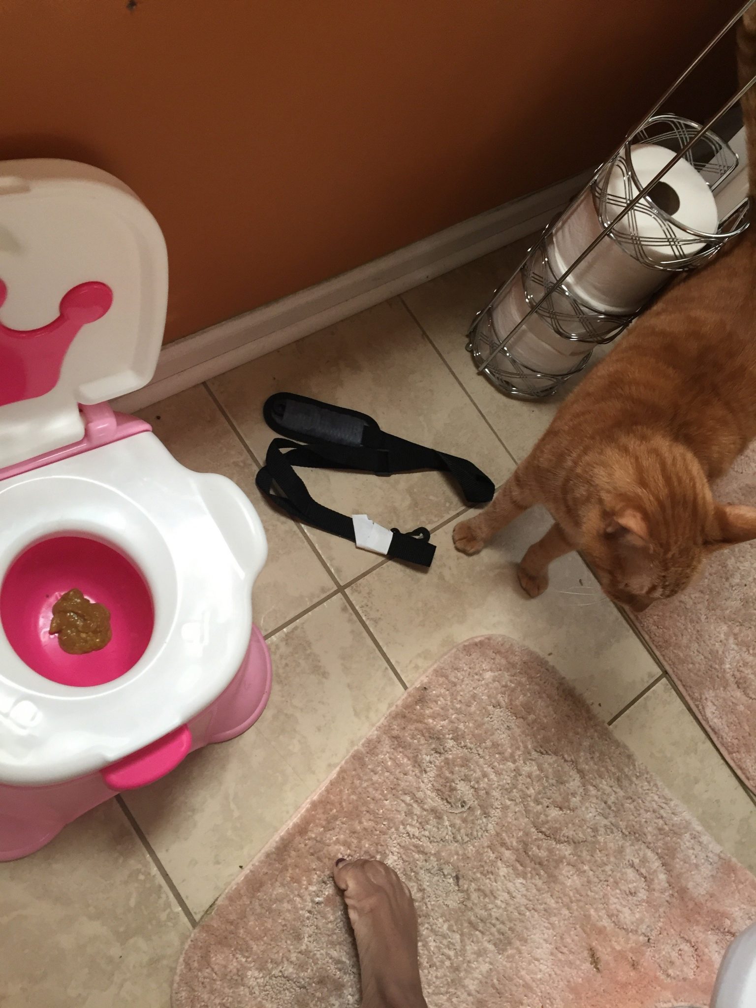 Potty Training Chronicles with a Spirited Toddler