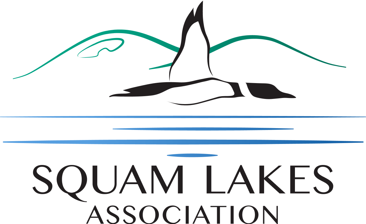 Ice safety on Squam Lake – Squam Lakes Association